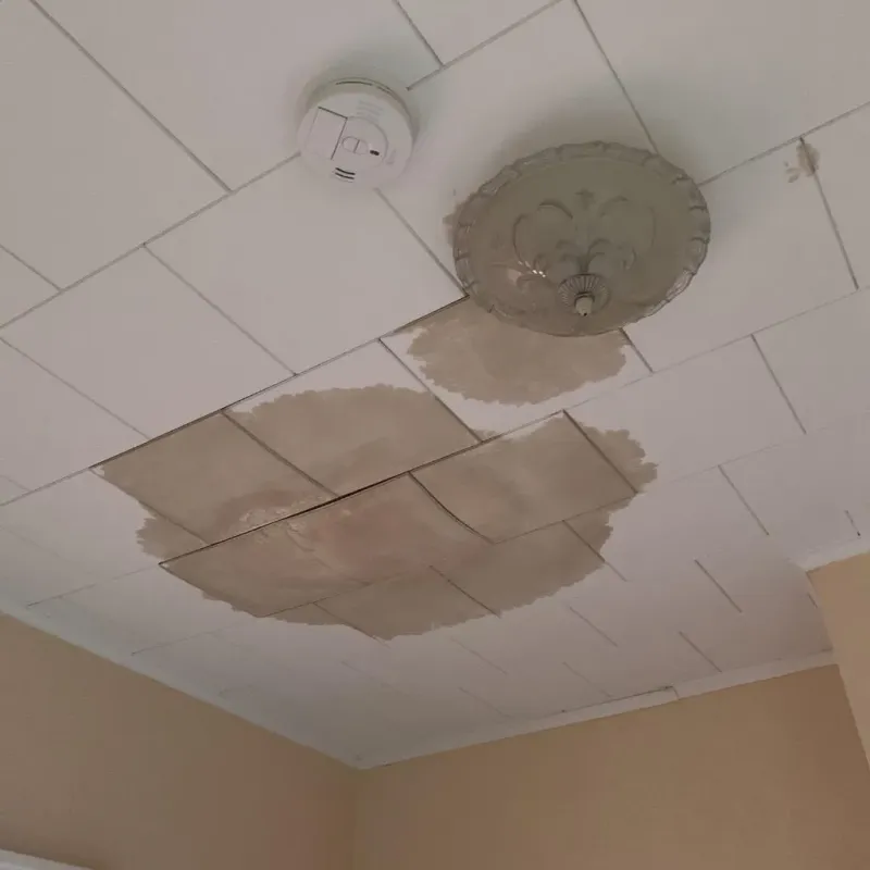 Ceiling Water Damage Repair in Yorkville, NY