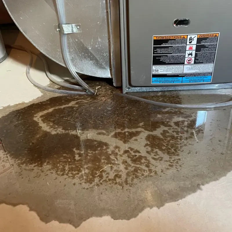 Pipe Burst and Leak Restoration in Yorkville, NY